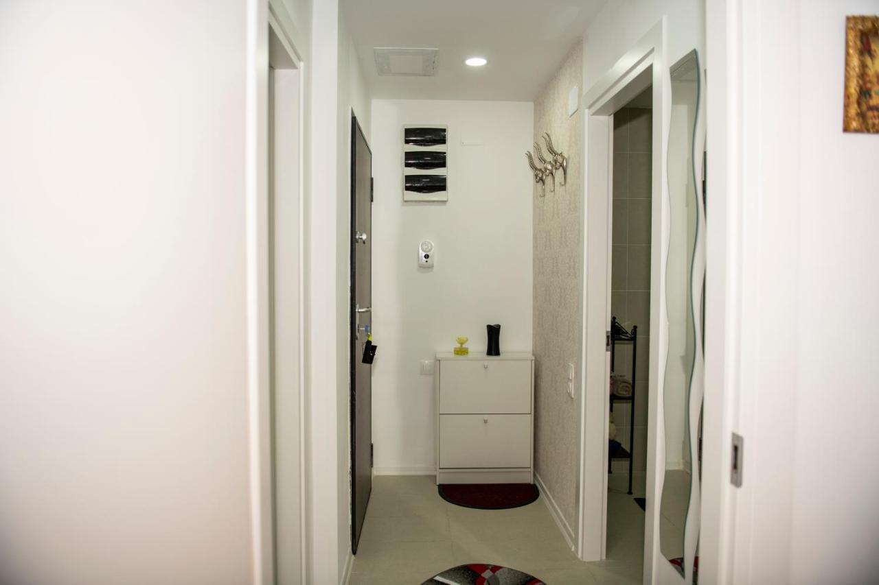 Raphael Apartment North Bucharest Cosmopolis Stefanestii de Jos 外观 照片