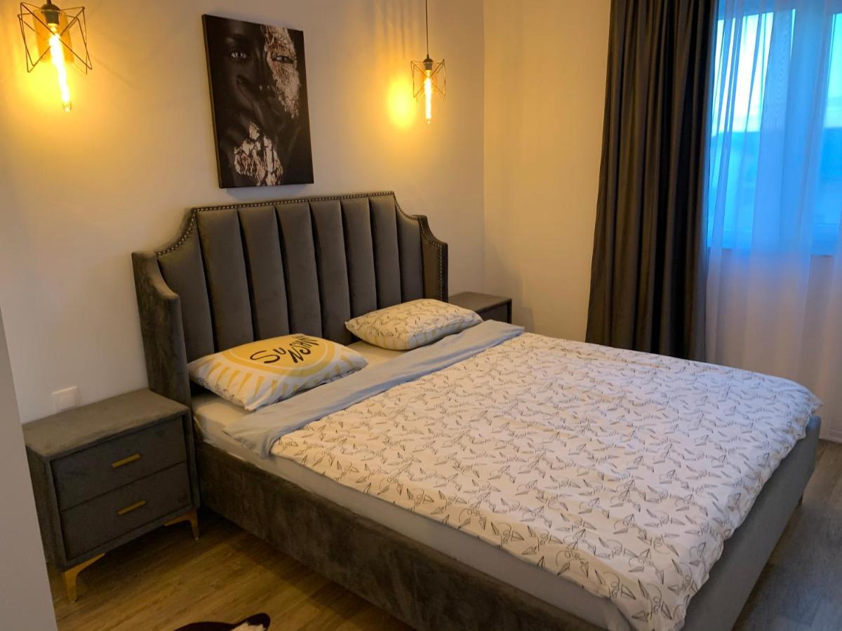Raphael Apartment North Bucharest Cosmopolis Stefanestii de Jos 外观 照片