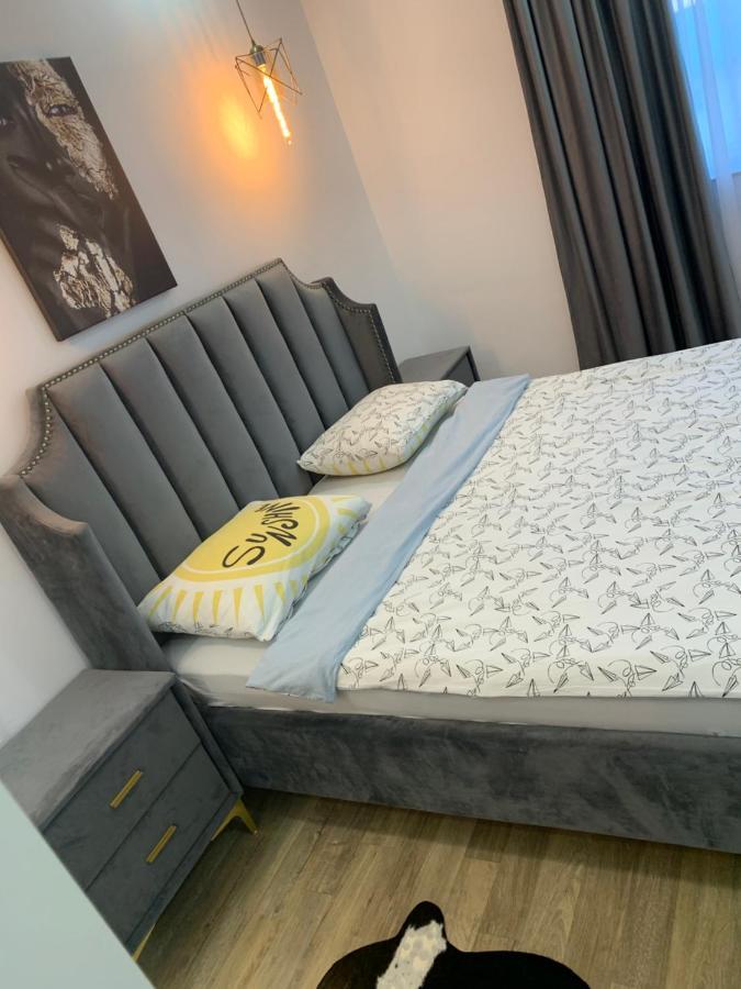Raphael Apartment North Bucharest Cosmopolis Stefanestii de Jos 外观 照片
