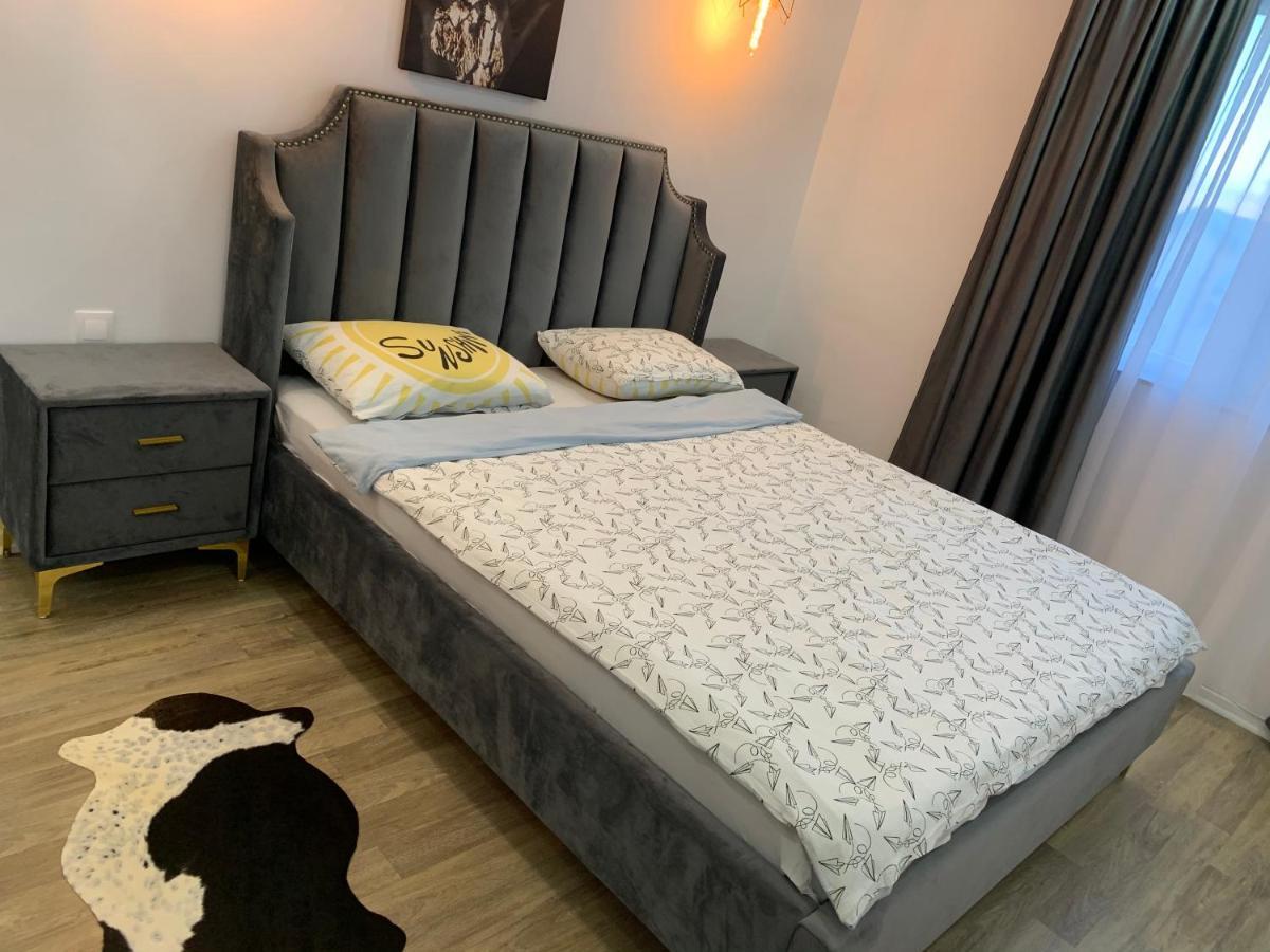 Raphael Apartment North Bucharest Cosmopolis Stefanestii de Jos 外观 照片